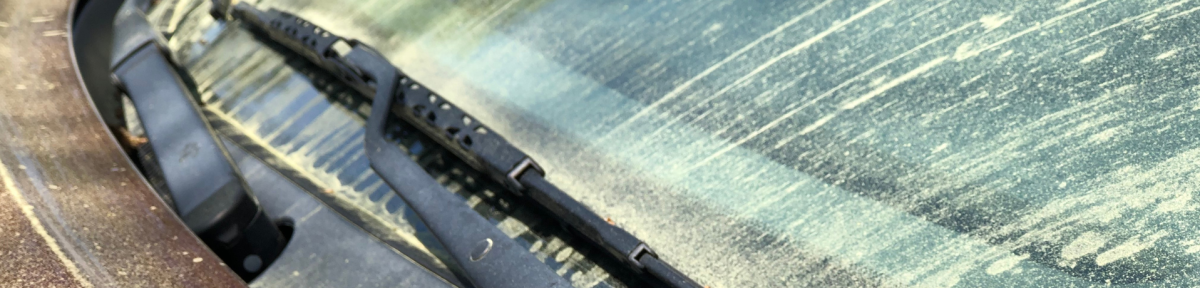 Why Pollen Is Bad for Your Car’s Paint This Spring